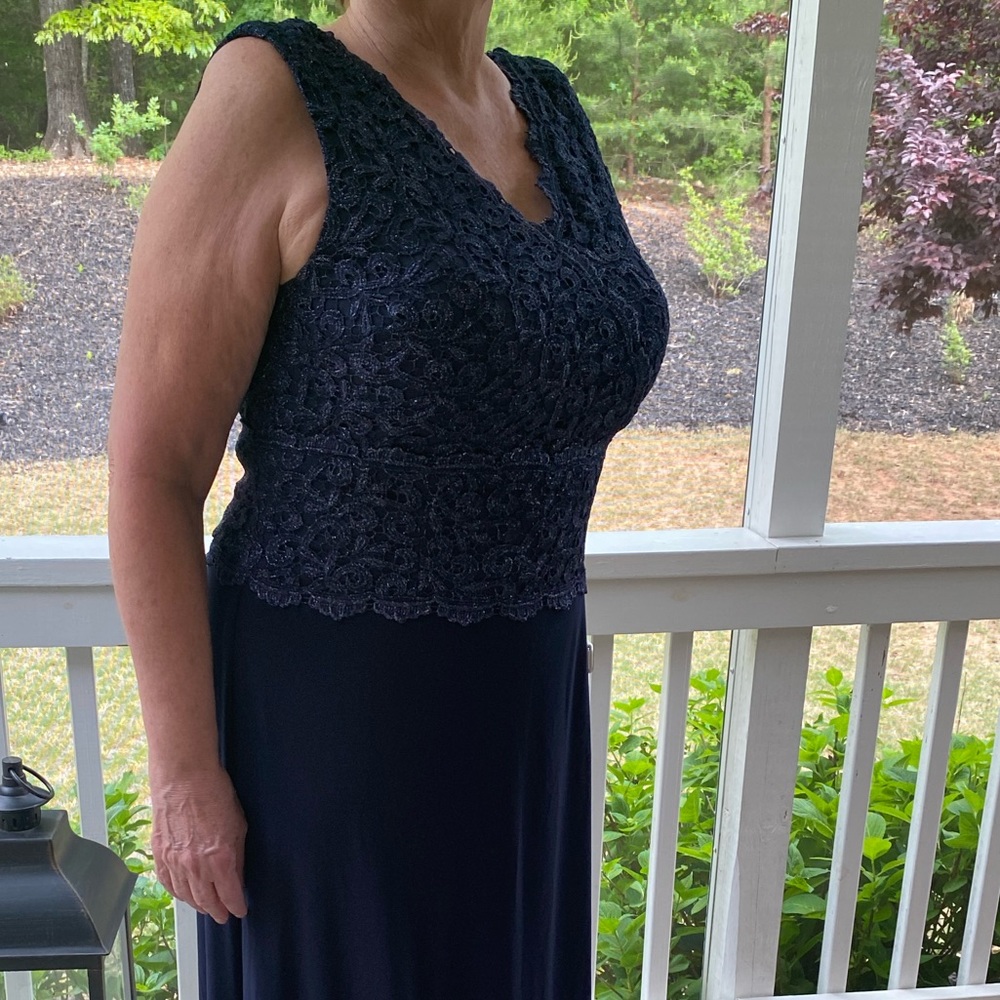 NWT Alex Evenings Gown Metalic Lace Bodice Chiffon - Picture 4 of 10